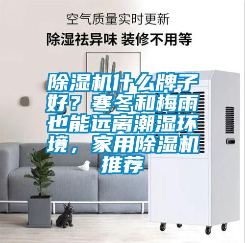 除濕機什么牌子好？寒冬和梅雨也能遠離潮濕環境，家用除濕機推薦
