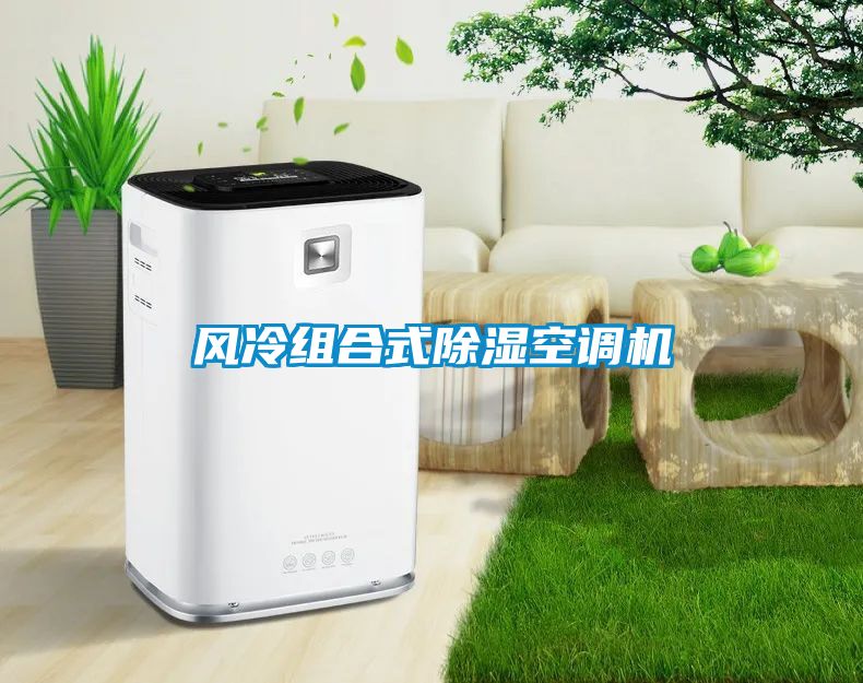風(fēng)冷組合式除濕空調(diào)機(jī)
