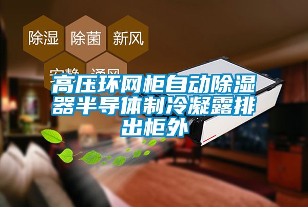 高壓環網柜自動除濕器半導體制冷凝露排出柜外