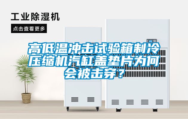 高低溫沖擊試驗(yàn)箱制冷壓縮機(jī)汽缸蓋墊片為何會被擊穿？
