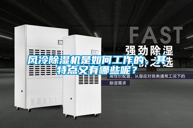 風冷除濕機是如何工作的，其特點又有哪些呢？