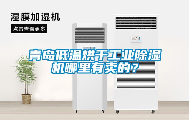 青島低溫烘干工業(yè)除濕機哪里有賣的？