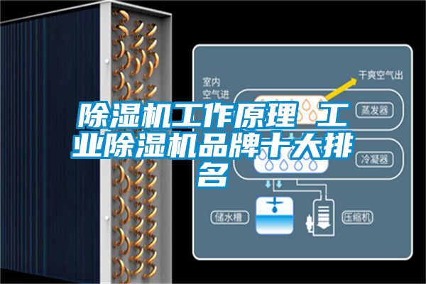 除濕機工作原理 工業除濕機品牌十大排名