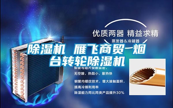 除濕機(jī) 雁飛商貿(mào) 煙臺轉(zhuǎn)輪除濕機(jī)