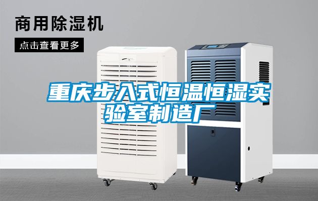 重慶步入式恒溫恒濕實(shí)驗室制造廠