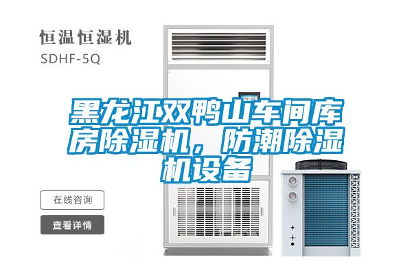 黑龍江雙鴨山車(chē)間庫(kù)房除濕機(jī)，防潮除濕機(jī)設(shè)備