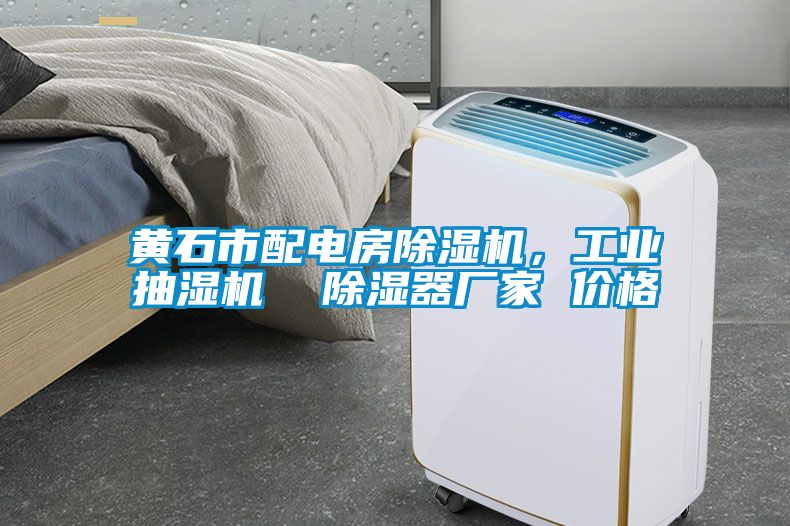 黃石市配電房除濕機，工業(yè)抽濕機  除濕器廠家 價格