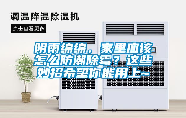陰雨綿綿，家里應該怎么防潮除霉？這些妙招希望你能用上~