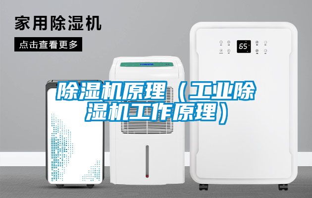 除濕機原理（工業除濕機工作原理）