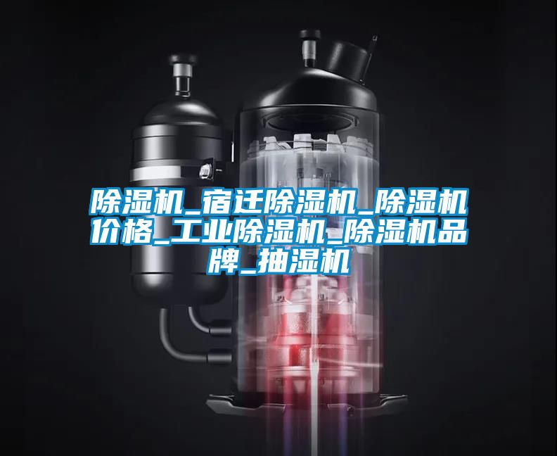 除濕機_宿遷除濕機_除濕機價格_工業除濕機_除濕機品牌_抽濕機