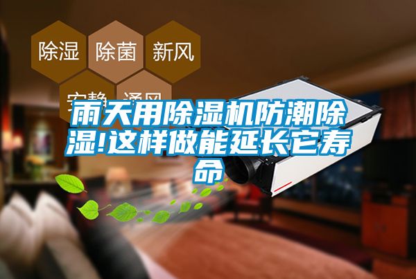 雨天用除濕機(jī)防潮除濕!這樣做能延長(zhǎng)它壽命