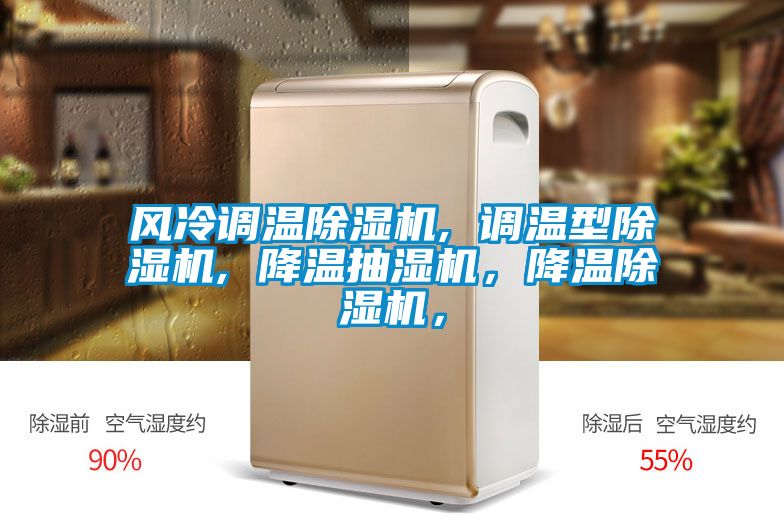 風(fēng)冷調(diào)溫除濕機, 調(diào)溫型除濕機, 降溫抽濕機，降溫除濕機，