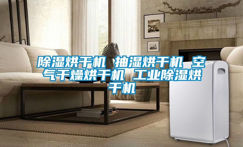 除濕烘干機 抽濕烘干機 空氣干燥烘干機 工業(yè)除濕烘干機
