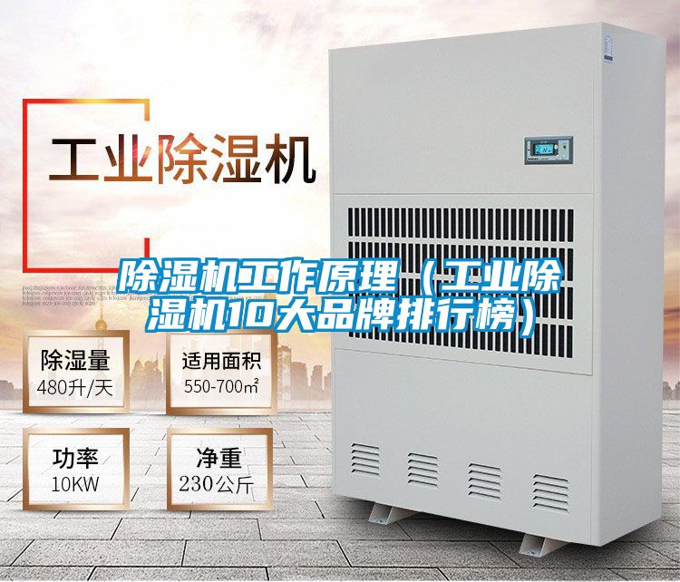 除濕機工作原理（工業除濕機10大品牌排行榜）
