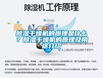企業(yè)新聞除濕干燥機的原理是什么？除濕干燥機的原理及用途介紹