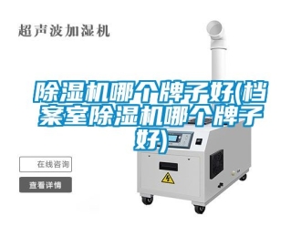 行業新聞除濕機哪個牌子好(檔案室除濕機哪個牌子好)