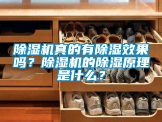 行業新聞除濕機真的有除濕效果嗎？除濕機的除濕原理是什么？