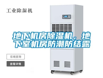 企業(yè)新聞地下機(jī)房除濕機(jī)，地下室機(jī)房防潮防結(jié)露
