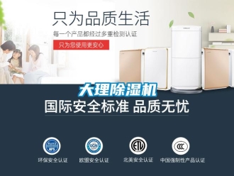 企業新聞大理除濕機
