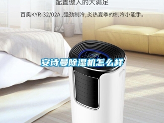 企業新聞安詩曼除濕機怎么樣