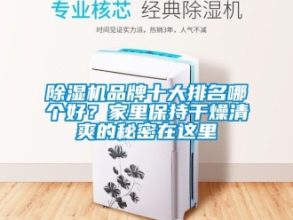 企業新聞除濕機品牌十大排名哪個好？家里保持干燥清爽的秘密在這里