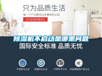 企業新聞除濕機不啟動是哪里問題