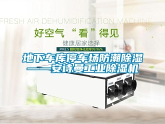 企業(yè)新聞地下車庫(kù)停車場(chǎng)防潮除濕——安詩(shī)曼工業(yè)除濕機(jī)