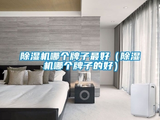 行業新聞除濕機哪個牌子最好（除濕機哪個牌子的好）