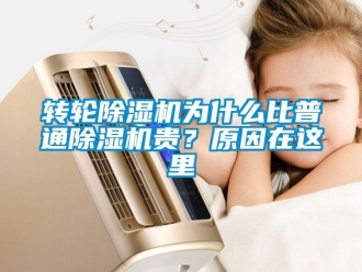 常見問題轉輪除濕機為什么比普通除濕機貴？原因在這里