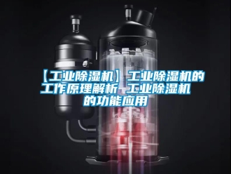 常見問題【工業(yè)除濕機】工業(yè)除濕機的工作原理解析 工業(yè)除濕機的功能應(yīng)用