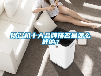 企業新聞除濕機十大品牌排名是怎么樣的？