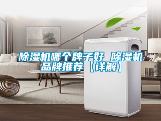 企業(yè)新聞除濕機(jī)哪個(gè)牌子好 除濕機(jī)品牌推薦【詳解】