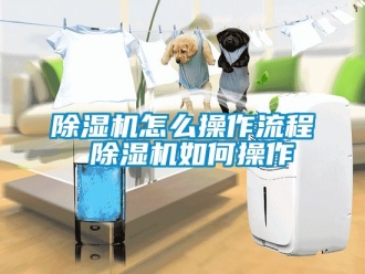 行業新聞除濕機怎么操作流程 除濕機如何操作