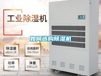 常見問題如何選購除濕機(jī)