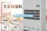如何選購(gòu)除濕機(jī)