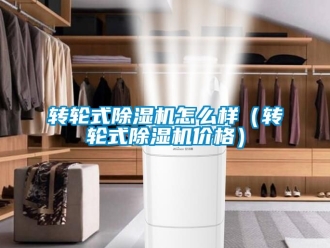 常見問題轉輪式除濕機怎么樣（轉輪式除濕機價格）