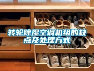 常見問題轉輪除濕空調機組的缺點及處理方式