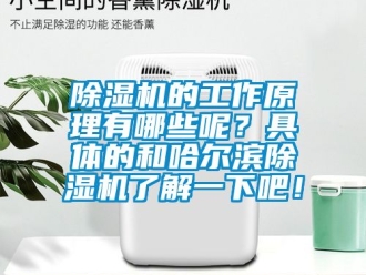 企業新聞除濕機的工作原理有哪些呢？具體的和哈爾濱除濕機了解一下吧！