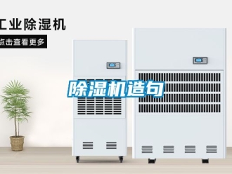 行業新聞除濕機造句