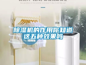 企業新聞除濕機的作用你知道這五種效果嗎