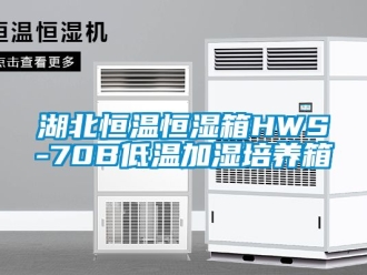 知識百科湖北恒溫恒濕箱HWS-70B低溫加濕培養箱