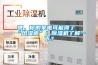 嘿，你的家電可能得了“風濕病”！除濕機了解一下？