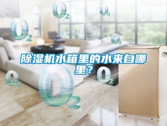 行業新聞除濕機水箱里的水來自哪里？