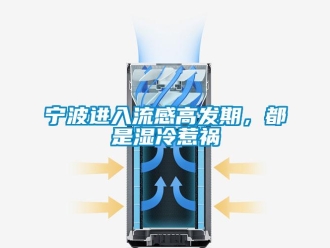 行業新聞寧波進入流感高發期，都是濕冷惹禍