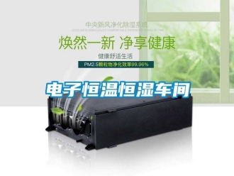 知識百科電子恒溫恒濕車間
