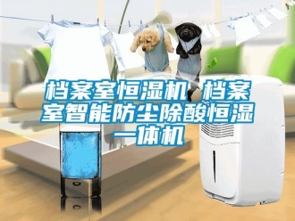 知識百科檔案室恒濕機 檔案室智能防塵除酸恒濕一體機