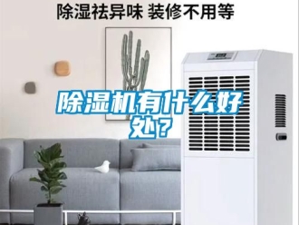 行業(yè)新聞除濕機(jī)有什么好處？
