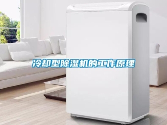 行業新聞冷卻型除濕機的工作原理
