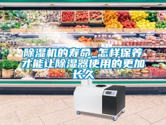 企業新聞除濕機的壽命_怎樣保養才能讓除濕器使用的更加長久