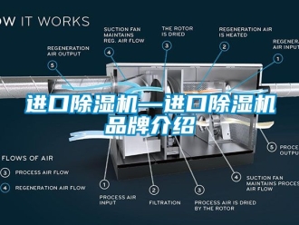 企業新聞進口除濕機—進口除濕機品牌介紹